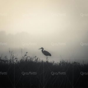 Silhouette of a great blue heron standing in a misty wetland
