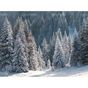 Snow-covered pine trees on a mountain slope on a winter day