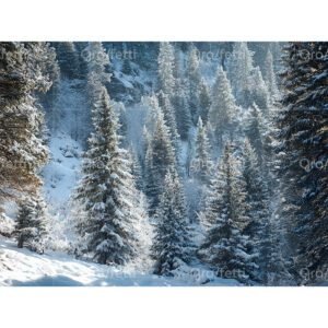 Snowy evergreen forest in the mountains.